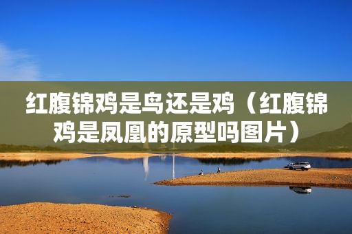 红腹锦鸡是鸟还是鸡（红腹锦鸡是凤凰的原型吗图片）