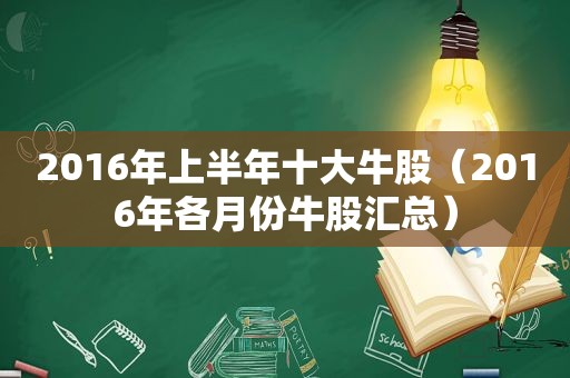 2016年上半年十大牛股（2016年各月份牛股汇总）