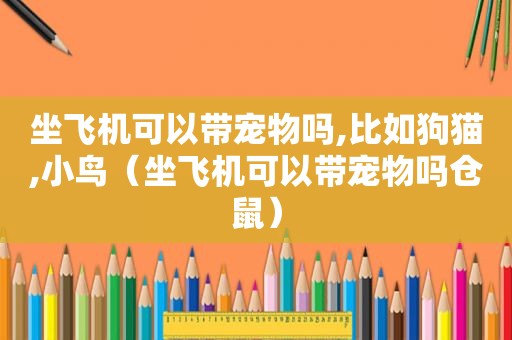 坐飞机可以带宠物吗,比如狗猫,小鸟（坐飞机可以带宠物吗仓鼠）