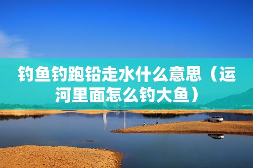 钓鱼钓跑铅走水什么意思（运河里面怎么钓大鱼）