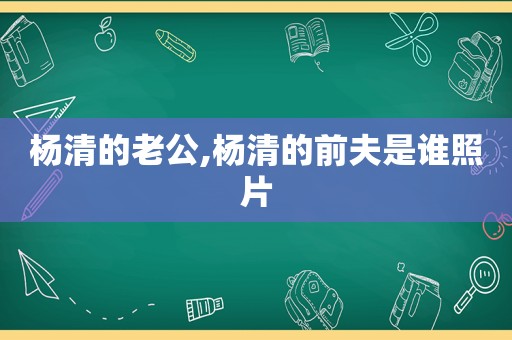 杨清的老公,杨清的前夫是谁照片