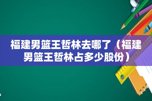 福建男篮王哲林去哪了（福建男篮王哲林占多少股份）