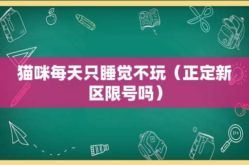 猫咪每天只睡觉不玩（正定新区限号吗）