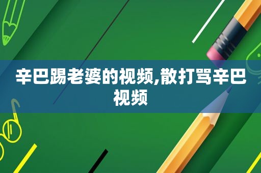 辛巴踢老婆的视频,散打骂辛巴视频