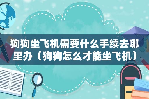 狗狗坐飞机需要什么手续去哪里办（狗狗怎么才能坐飞机）