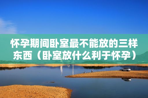 怀孕期间卧室最不能放的三样东西（卧室放什么利于怀孕）