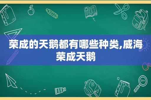 荣成的天鹅都有哪些种类,威海荣成天鹅
