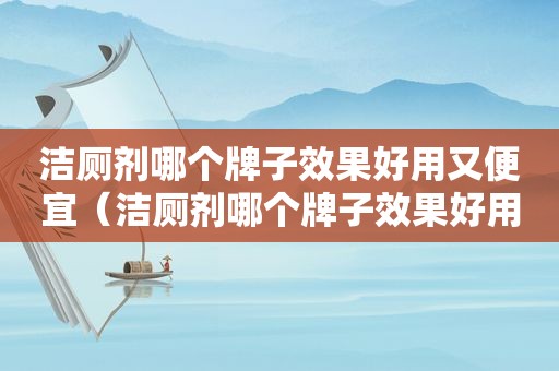 洁厕剂哪个牌子效果好用又便宜（洁厕剂哪个牌子效果好用又实惠）