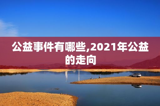 公益事件有哪些,2021年公益的走向