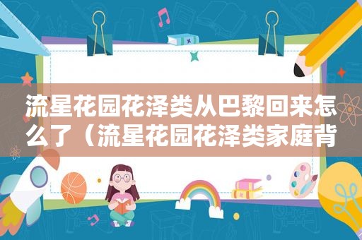 流星花园花泽类从巴黎回来怎么了（流星花园花泽类家庭背景）