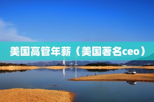 美国高管年薪（美国著名ceo）