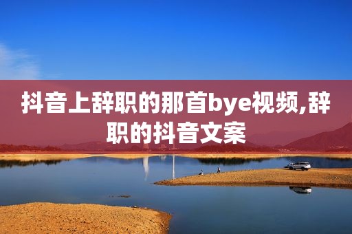 抖音上辞职的那首bye视频,辞职的抖音文案