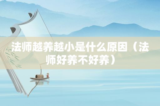 法师越养越小是什么原因（法师好养不好养）