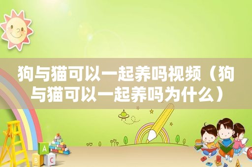 狗与猫可以一起养吗视频（狗与猫可以一起养吗为什么）