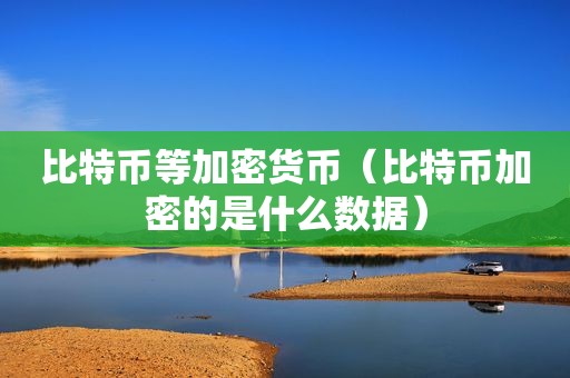 比特币等加密货币（比特币加密的是什么数据）