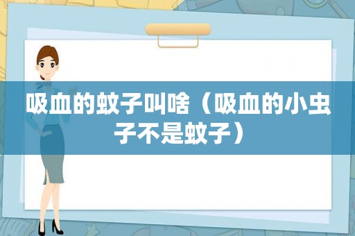 吸血的蚊子叫啥（吸血的小虫子不是蚊子）