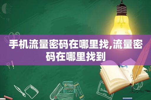 手机流量密码在哪里找,流量密码在哪里找到