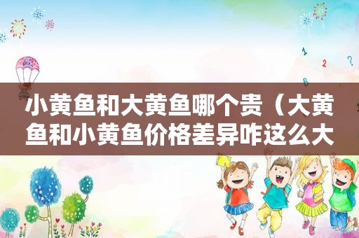 小黄鱼和大黄鱼哪个贵（大黄鱼和小黄鱼价格差异咋这么大呀视频）