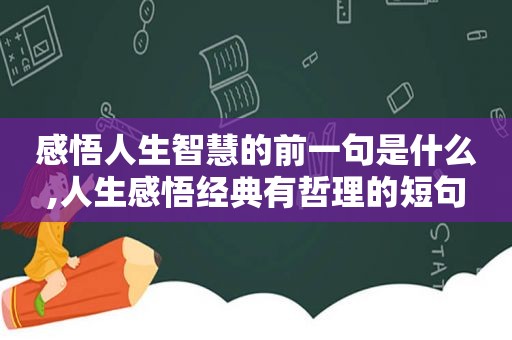 感悟人生智慧的前一句是什么,人生感悟经典有哲理的短句