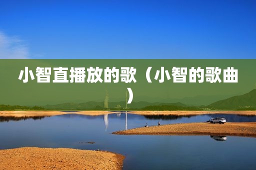 小智直播放的歌（小智的歌曲）
