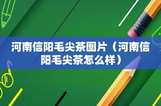 河南信阳毛尖茶图片（河南信阳毛尖茶怎么样）