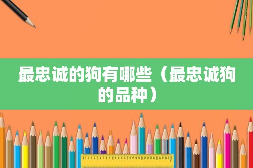 最忠诚的狗有哪些（最忠诚狗的品种）