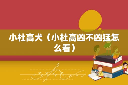 小杜高犬（小杜高凶不凶猛怎么看）