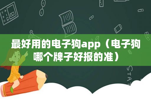 最好用的电子狗app（电子狗哪个牌子好报的准）