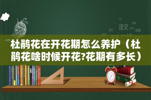 杜鹃花在开花期怎么养护（杜鹃花啥时候开花?花期有多长）