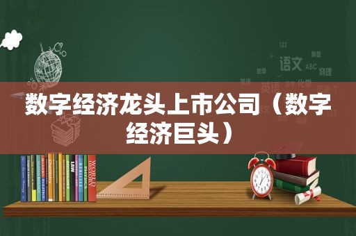 数字经济龙头上市公司（数字经济巨头）
