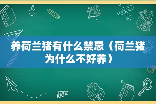 养荷兰猪有什么禁忌（荷兰猪为什么不好养）
