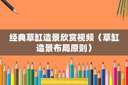 经典草缸造景欣赏视频（草缸造景布局原则）