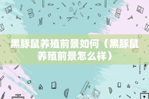黑豚鼠养殖前景如何（黑豚鼠养殖前景怎么样）