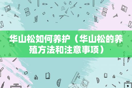 华山松如何养护（华山松的养殖方法和注意事项）
