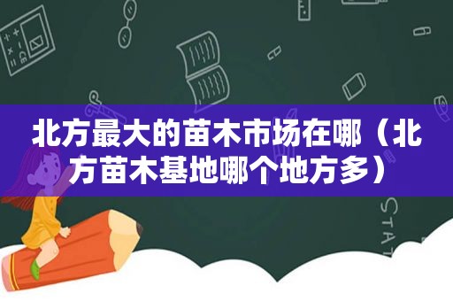 北方最大的苗木市场在哪（北方苗木基地哪个地方多）