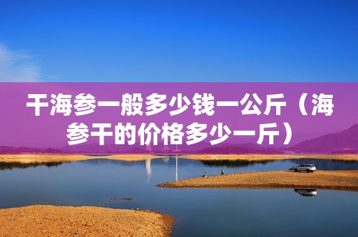 干海参一般多少钱一公斤（海参干的价格多少一斤）