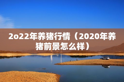 2o22年养猪行情（2020年养猪前景怎么样）