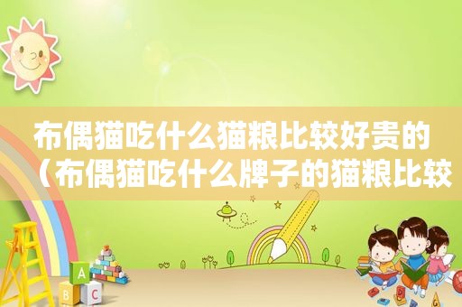 布偶猫吃什么猫粮比较好贵的（布偶猫吃什么牌子的猫粮比较好）
