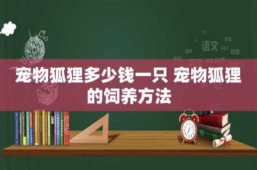 宠物狐狸多少钱一只 宠物狐狸的饲养方法