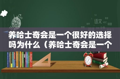 养哈士奇会是一个很好的选择吗为什么（养哈士奇会是一个很好的选择吗知乎）