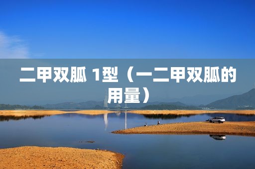 二甲双胍 1型（一二甲双胍的用量）