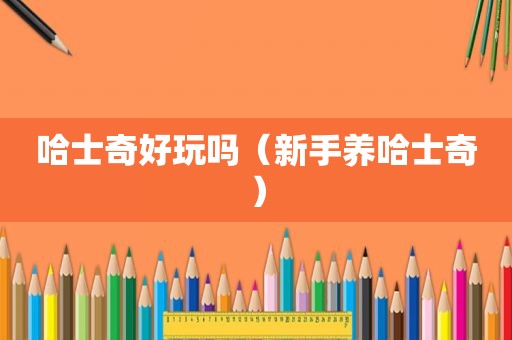 哈士奇好玩吗（新手养哈士奇）