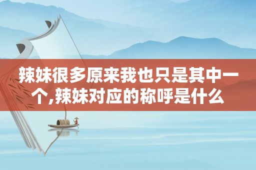 辣妹很多原来我也只是其中一个,辣妹对应的称呼是什么