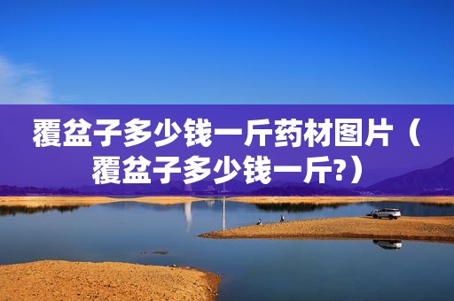 覆盆子多少钱一斤药材图片（覆盆子多少钱一斤?）