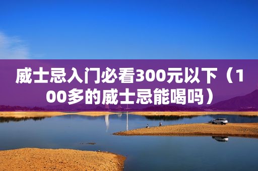 威士忌入门必看300元以下（100多的威士忌能喝吗）