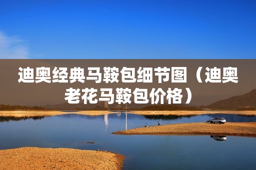 迪奥经典马鞍包细节图（迪奥老花马鞍包价格）