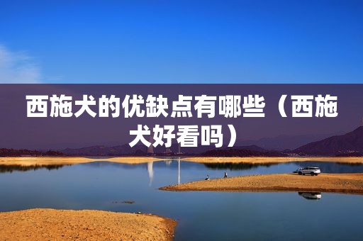 西施犬的优缺点有哪些（西施犬好看吗）