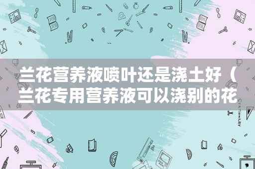 兰花营养液喷叶还是浇土好（兰花专用营养液可以浇别的花吗）