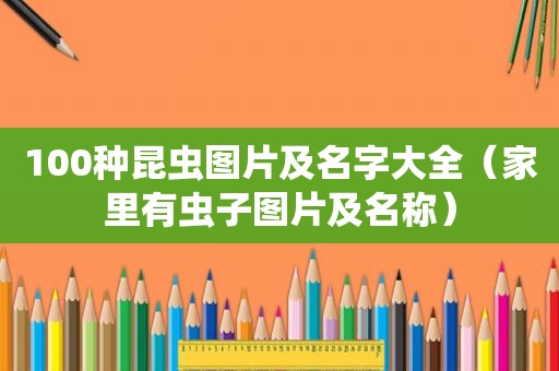 100种昆虫图片及名字大全（家里有虫子图片及名称）