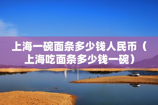 上海一碗面条多少钱人民币（上海吃面条多少钱一碗）